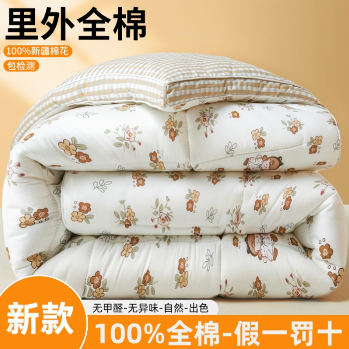 91家纺网 家纺一手货源 找家纺 帕拉美拉 2025新款全棉100%新疆棉花款小清新立体冬被学生被子被芯 花园漫步