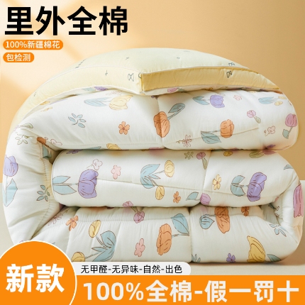 91家纺网 家纺一手货源 找家纺 帕拉美拉 2025新款全棉100%新疆棉花款小清新立体冬被学生被子被芯 快乐崇拜