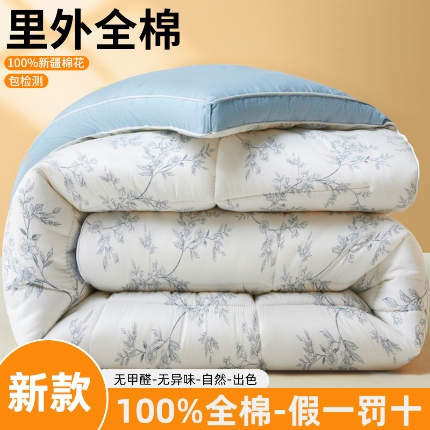 91家纺网 家纺一手货源 找家纺 帕拉美拉 2025新款全棉100%新疆棉花款小清新立体冬被学生被子被芯 满庭