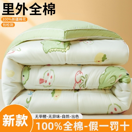91家纺网 家纺一手货源 找家纺 帕拉美拉 2025新款全棉100%新疆棉花款小清新立体冬被学生被子被芯 幸运独角龙