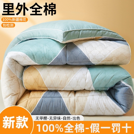 91家纺网 家纺一手货源 找家纺 帕拉美拉 2025新款全棉100%新疆棉花款小清新立体冬被学生被子被芯 街角咖啡