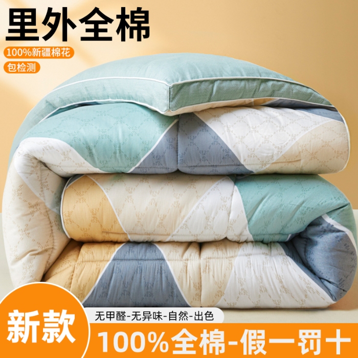 91家纺网 家纺一手货源 找家纺 帕拉美拉 2025新款全棉100%新疆棉花款小清新立体冬被学生被子被芯 街角咖啡