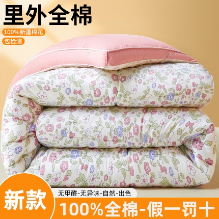 91家纺网 家纺一手货源 找家纺 帕拉美拉 2025新款全棉100%新疆棉花款小清新立体冬被学生被子被芯 花香谷粉