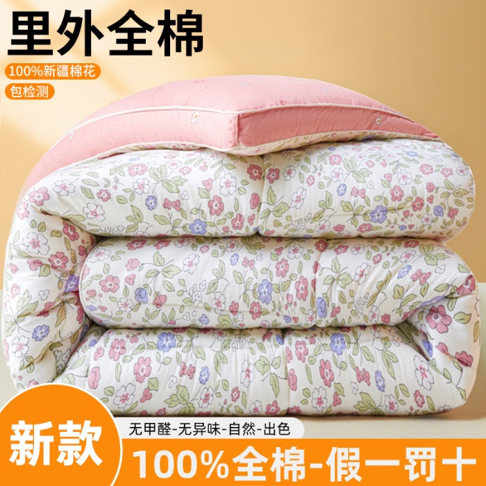 91家纺网 家纺一手货源 找家纺 帕拉美拉 2025新款全棉100%新疆棉花款小清新立体冬被学生被子被芯 花香谷粉