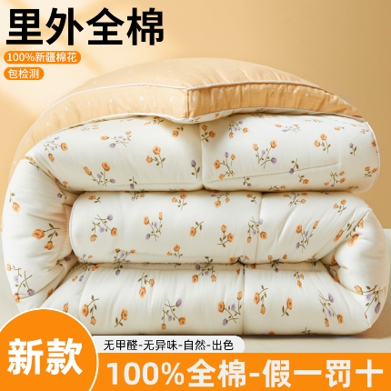 91家纺网 家纺一手货源 找家纺 帕拉美拉 2025新款全棉100%新疆棉花款小清新立体冬被学生被子被芯 春色满园