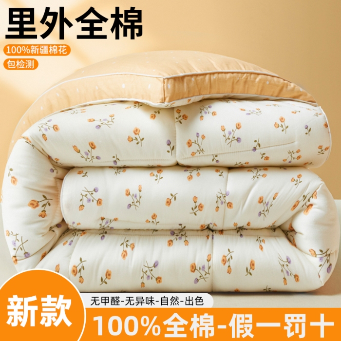 91家纺网 家纺一手货源 找家纺 帕拉美拉 2025新款全棉100%新疆棉花款小清新立体冬被学生被子被芯 春色满园