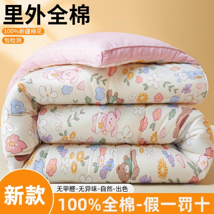 91家纺网 家纺一手货源 找家纺 帕拉美拉 2025新款全棉100%新疆棉花款小清新立体冬被学生被子被芯 春浅云舒