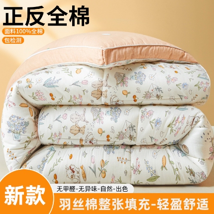 91家纺网 家纺一手货源 找家纺 帕拉美拉 2025新款100%全棉小清新立体冬被学生被子被芯 梦幻物语