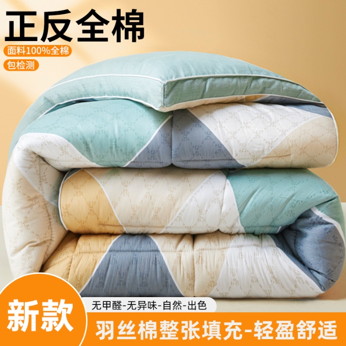 91家纺网 家纺一手货源 找家纺 帕拉美拉 2025新款100%全棉小清新立体冬被学生被子被芯 街角咖啡