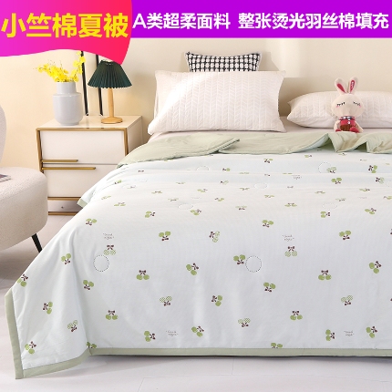 91家纺网 家纺一手货源 找家纺 （总）诗雅2025新款A类小竺棉夏被被子被芯空调被超声波压花礼品被