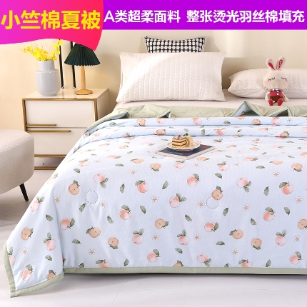91家纺网 家纺一手货源 找家纺 （总）诗雅2025新款A类小竺棉夏被被子被芯空调被超声波压花礼品被