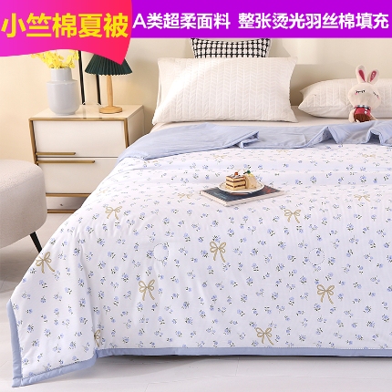 91家纺网 家纺一手货源 找家纺 （总）诗雅2025新款A类小竺棉夏被被子被芯空调被超声波压花礼品被