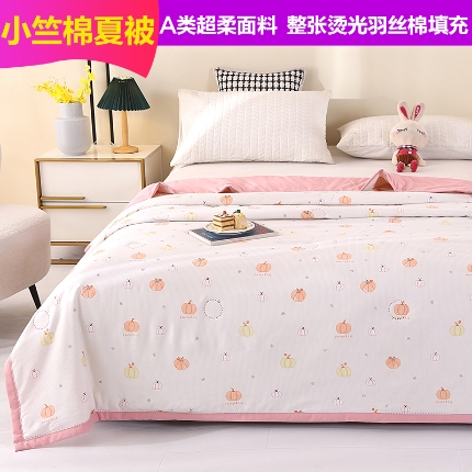 91家纺网 家纺一手货源 找家纺 （总）诗雅2025新款A类小竺棉夏被被子被芯空调被超声波压花礼品被
