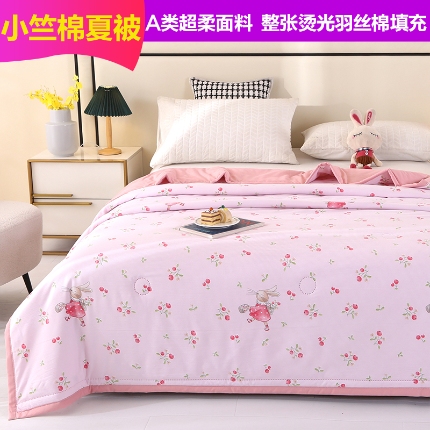 91家纺网 家纺一手货源 找家纺 （总）诗雅2025新款A类小竺棉夏被被子被芯空调被超声波压花礼品被