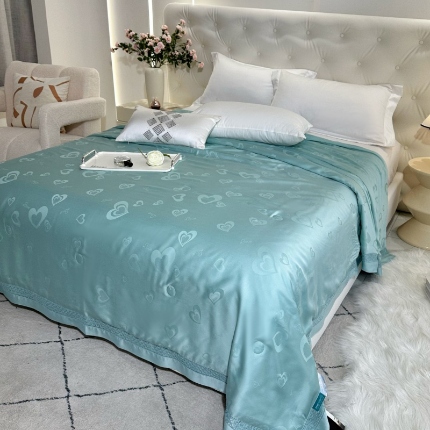 91家纺网 家纺一手货源 找家纺 （总）2025  博尔菲新款天丝莱赛尔纤维夏季空调被夏凉被 