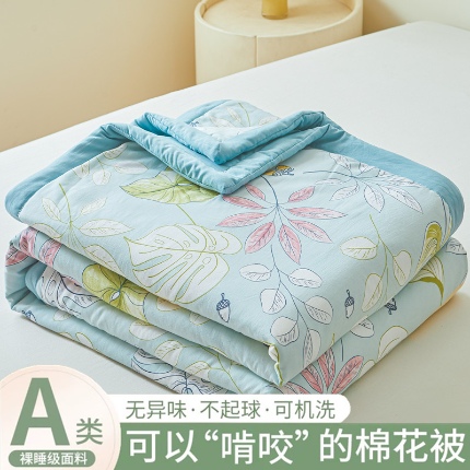 91家纺网 家纺一手货源 找家纺 （总）爱屋及屋2025新款水洗棉新疆棉花被夏被夏凉被空调可机洗薄被子被芯