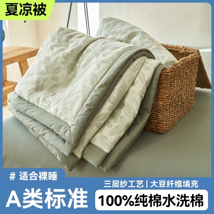 91家纺网 家纺一手货源 找家纺 金鹰 2025新款A类纯棉水洗棉提花三层纱叶之韵味空调被夏凉被大豆夏被四件套 叶之韵味-绿