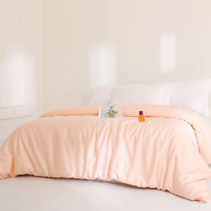 91家纺网 家纺一手货源 找家纺 （总）2025新款兰精天丝四件套纯色双拼被罩床单四季通用床品套件