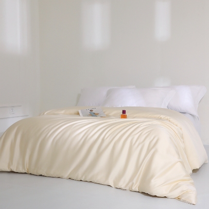 91家纺网 家纺一手货源 找家纺 （总）2025新款兰精天丝四件套纯色双拼被罩床单四季通用床品套件