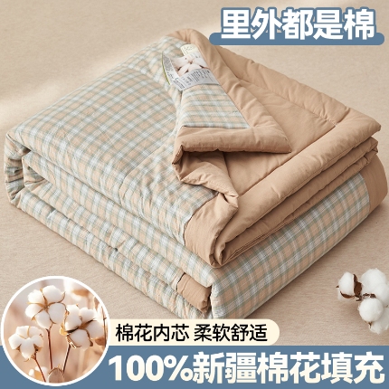 91家纺网 家纺一手货源 找家纺 恬思语家纺 2025新款全棉色织水洗棉棉花夏被  瑞吉斯 绿