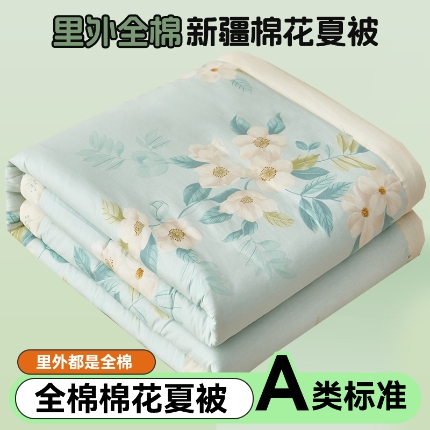 91家纺网 家纺一手货源 找家纺 （总）恬思语家纺 2025新款全棉印花棉花夏被