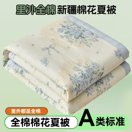 91家纺网 家纺一手货源 找家纺 （总）恬思语家纺 2025新款全棉印花棉花夏被