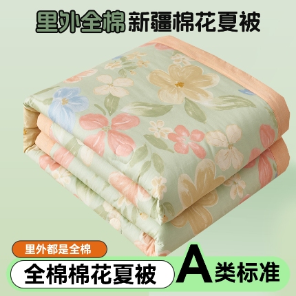 91家纺网 家纺一手货源 找家纺 恬思语家纺 2025新款全棉印花棉花夏被春风花颜