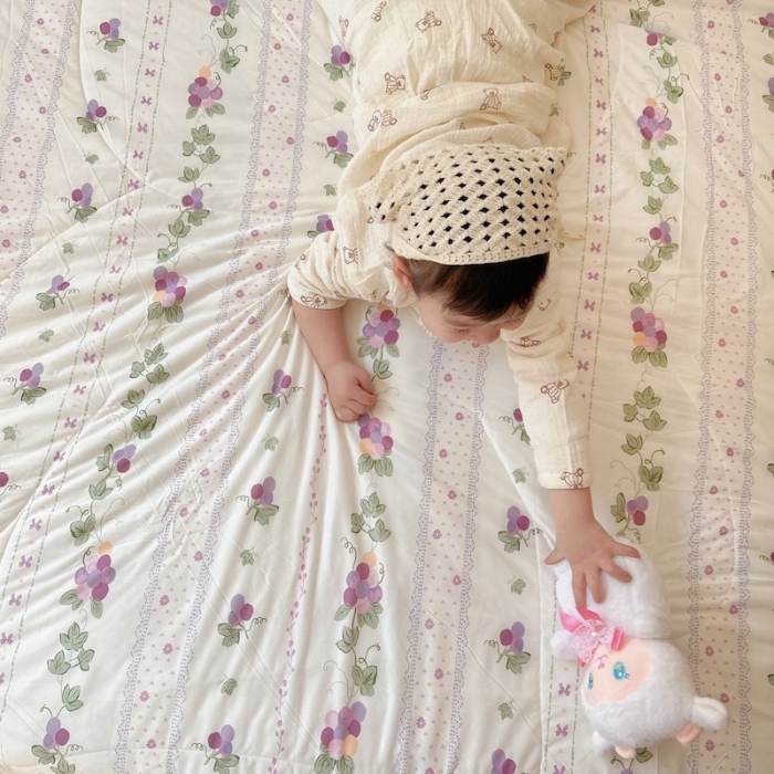 91家纺网 家纺一手货源 找家纺 兜米家居 2025夏季A类针织棉夏凉被小清新卡通双面针织棉空调被子被芯 小葡萄