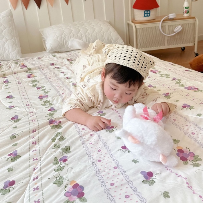 91家纺网 家纺一手货源 找家纺 兜米家居 2025夏季A类针织棉夏凉被小清新卡通双面针织棉空调被子被芯 小葡萄