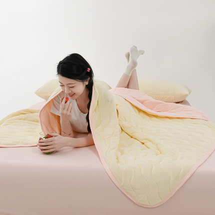 91家纺网 家纺一手货源 找家纺 （总）圣靓 2025新款A类凉感丝夏被夏凉被-梦境系列