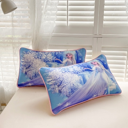 91家纺网 家纺一手货源 找家纺 （总）ds生活馆 2025新款大版卡通冰丝枕套