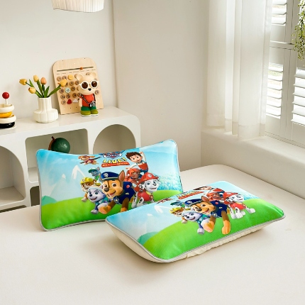 91家纺网 家纺一手货源 找家纺 （总）ds生活馆 2025新款大版卡通冰丝枕套