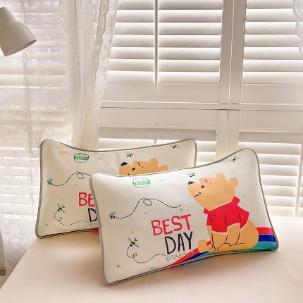 91家纺网 家纺一手货源 找家纺 （总）ds生活馆 2025新款大版卡通冰丝枕套