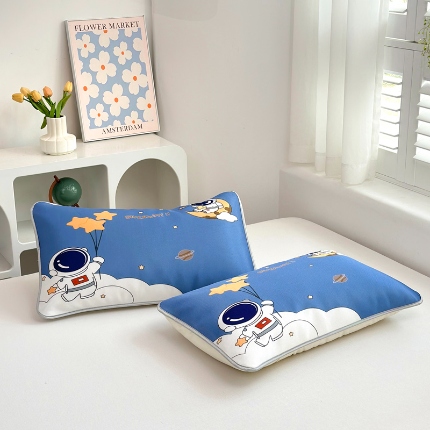 91家纺网 家纺一手货源 找家纺 （总）ds生活馆 2025新款大版卡通冰丝枕套