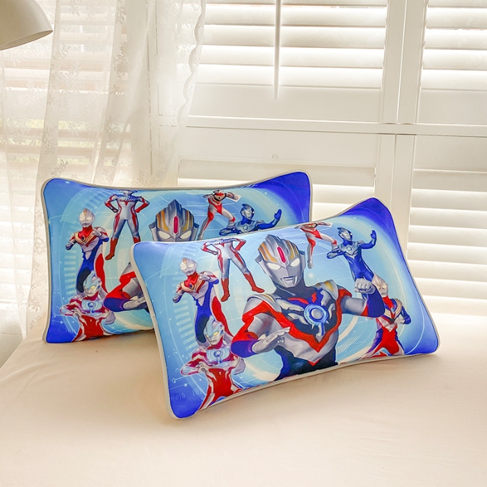 91家纺网 家纺一手货源 找家纺 （总）ds生活馆 2025新款大版卡通冰丝枕套