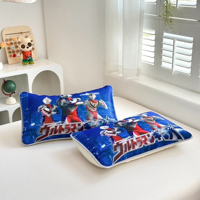 91家纺网 家纺一手货源 找家纺 （总）ds生活馆 2025新款大版卡通冰丝枕套