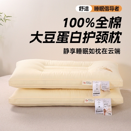 赛格时代  2025A类全棉大豆枕-定型护颈枕（大豆黄）
