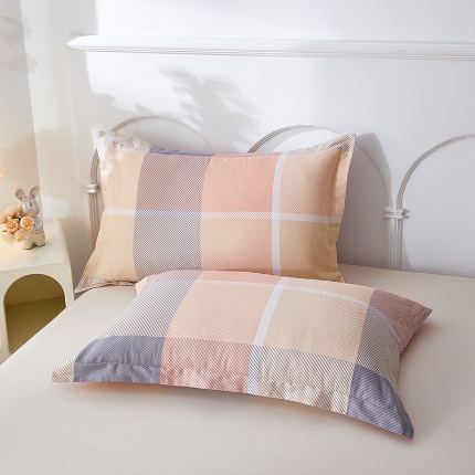 三盛源 2025新款枕套全棉48x74cm信封一对学生宿舍纯棉枕头套枕皮单人枕芯通用 幻影都市