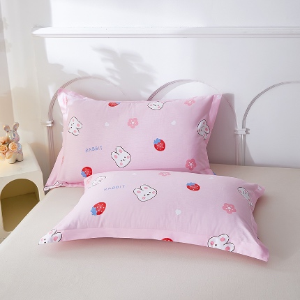 三盛源 2025新款枕套全棉48x74cm信封一对学生宿舍纯棉枕头套枕皮单人枕芯通用 草莓兔