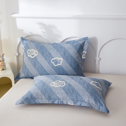 三盛源 2025新款枕套全棉48x74cm信封一对学生宿舍纯棉枕头套枕皮单人枕芯通用 时空之门