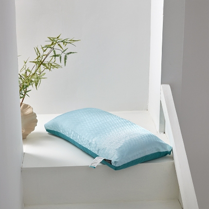 91家纺网 家纺一手货源 找家纺 （总）2025新款 冰丝全荞麦按摩护颈枕芯 甜荞麦明目清热学生成人枕头