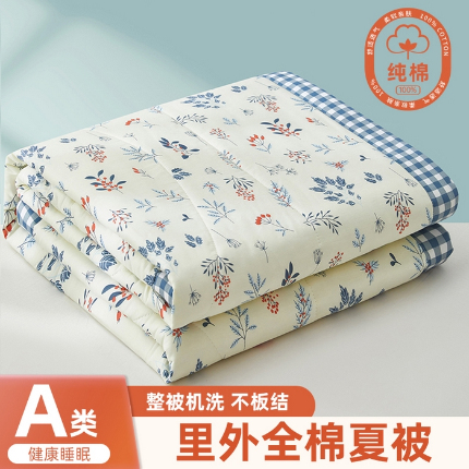 91家纺网 家纺一手货源 找家纺 （总）黛妮雅2025新款里外全棉印花棉花被纯棉单件夏被夏凉被空调被夏被四件套