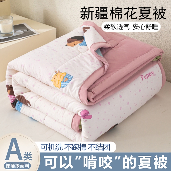 91家纺网 家纺一手货源 找家纺 好睡棉 2025新款柔软裸睡级水洗棉夏被新疆棉花被夏凉被空调被被子 哈基米