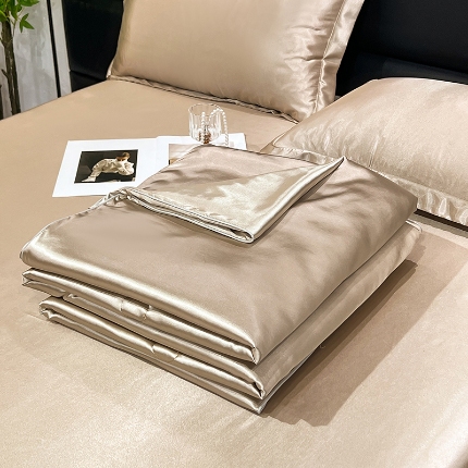 91家纺网 家纺一手货源 找家纺 （总）经年 2025夏季新款丝绸真丝手感水洗真丝天丝夏被夏凉被空调被四件套