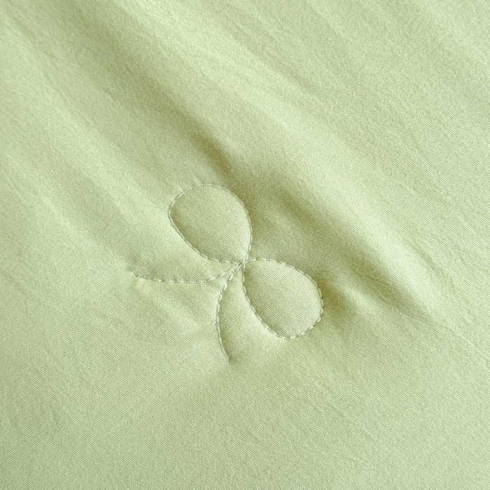 91家纺网 家纺一手货源 找家纺 苏米娜家纺2025春夏新品韩版甜美公主风全棉双层纱水洗棉床盖四件套刺绣针织棉双层纱纯棉棉麻全棉少女心夹棉床裙款夏被款床盖四件套 幻蝶-新芽绿