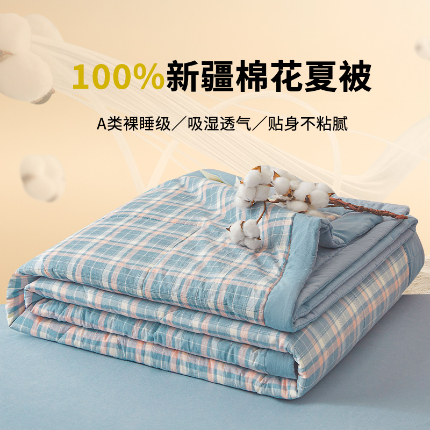 91家纺网 家纺一手货源 找家纺 创优家纺 2025新款无印风格子新疆棉夏被空调被纯棉花被夏被子薄被芯水洗棉包检测 印象蓝