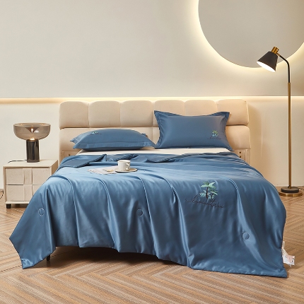 91家纺网 家纺一手货源 找家纺 （总）乐居家纺 2025新款A类凉感丝夏被冰丝夏凉空调被被子被芯