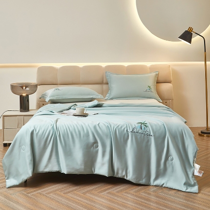 （总）乐居家纺 2025新款A类凉感丝夏被冰丝夏凉空调被被子被芯