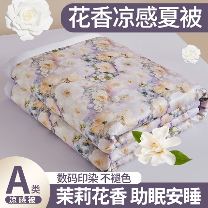 91家纺网 家纺一手货源 找家纺 （总）兴邦 2025新款直播爆款夏被花香凉感数码印花夏凉被空调被可机洗被芯-外贸跨境-外贸跨境