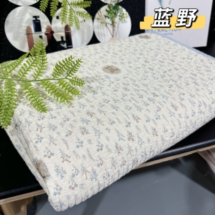 91家纺网 家纺一手货源 找家纺 （总）A类双面全棉床盖 200*220±5CM可机洗双面纯棉绗缝夹棉床单防滑垫